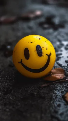 Желтый, Смайлик, Влажный асфальт, Листья, Макро, Контраст, Эмоция