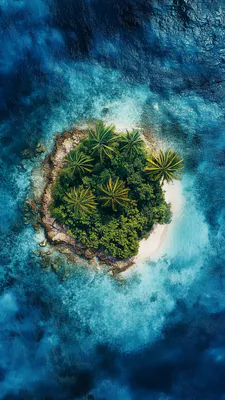 Пальмы, Коралловый риф, Бирюзовая вода, Пляж, Аэрофотосъемка, Одинокий, Прибрежные скалы, Лагуна, Солнечный, Море