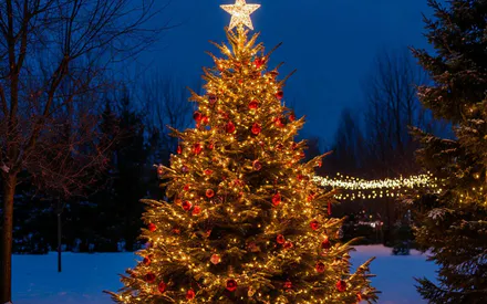 Ёлка, Новый Год, Зима, Природа, Дерево, Снег