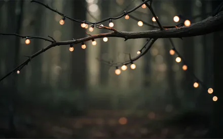 Лес, Вечер, Гирлянда, Обои на рабочий стол