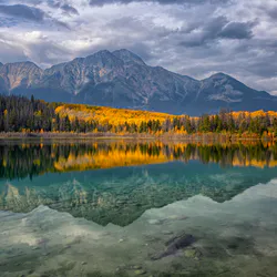 Autumn forest landscape