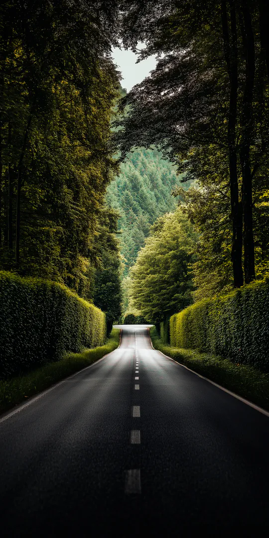 Phone wallpaper: Highway in the forest