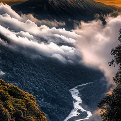 Tranquility