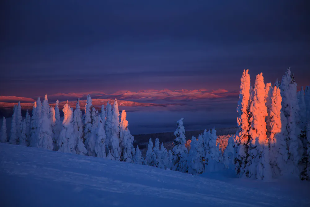 Wallpaper Snow covered trees 2732x2048