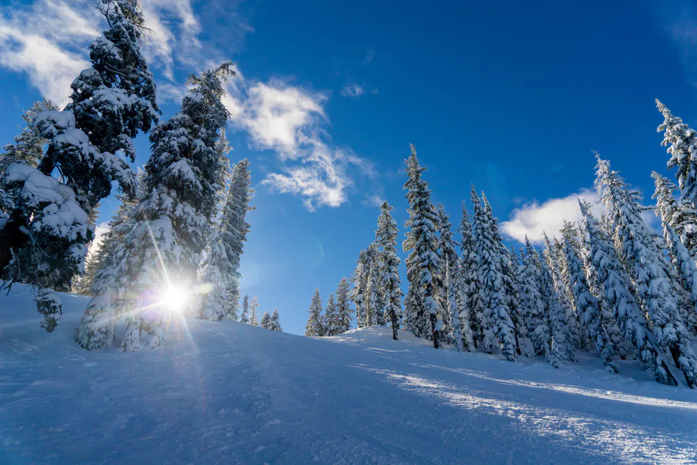 Wallpaper Landscape winter 540x960