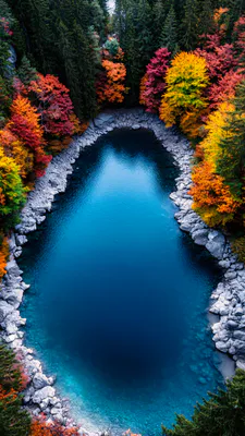 Лес, Желтые-листья, Яркие-цвета, Кристальная-вода, Каменный-берег, Отражение, Воздушная-съемка