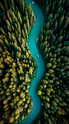 Аэрофотография, Панорама, Вода, Сосны, Лодки, Зелень, Верхний ракурс