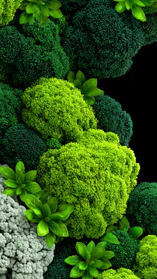 Листья, Текстура, Контраст, Макро, Природа, Зеленые оттенки, Глубина, Amoled, AI Art