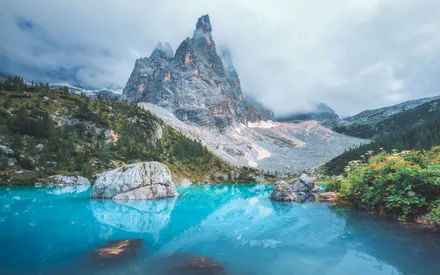 Гори, Скелі, Хмари, Туман, Відображення, Квіти, Альпійський пейзаж