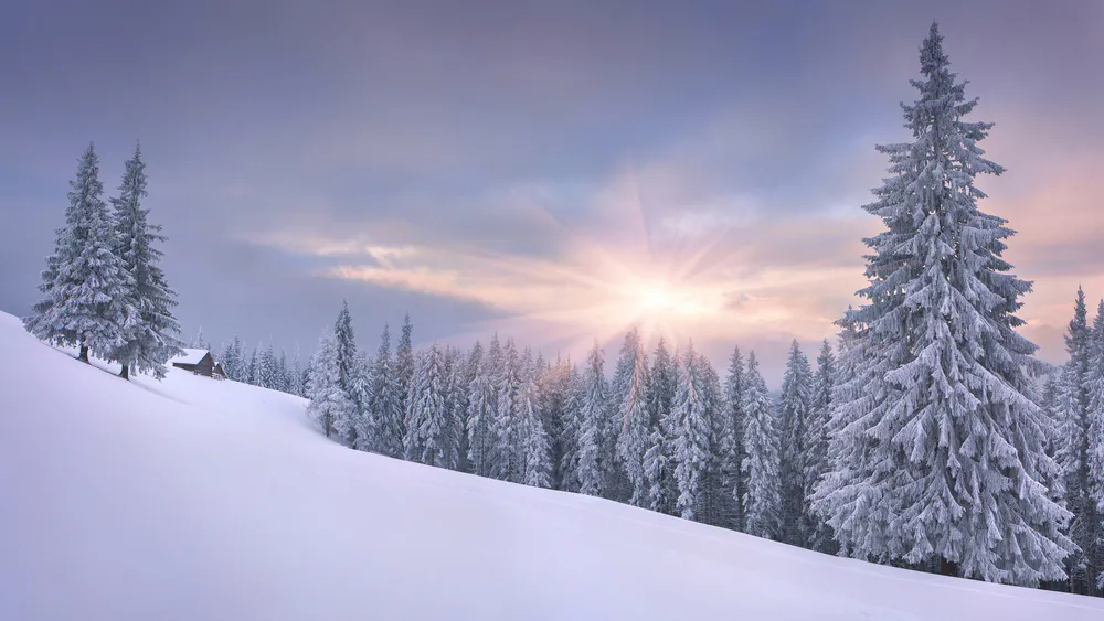 Wallpaper Winter 1366x768
