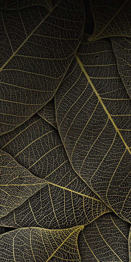 Обои на телефон: Лист