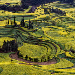 Розовое небо