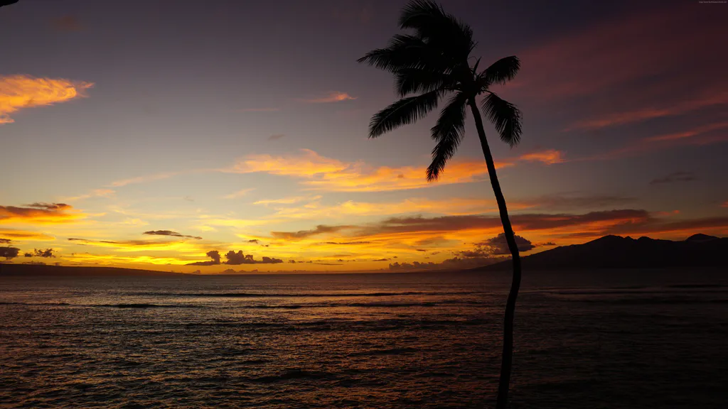 Desktop wallpaper: Sunset