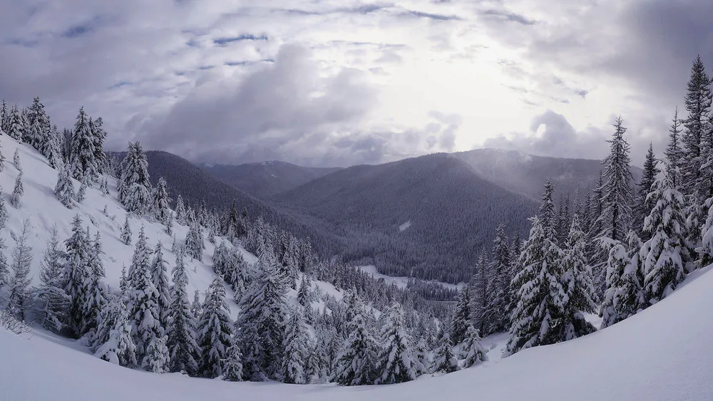 Wallpaper Winter 1920x1080