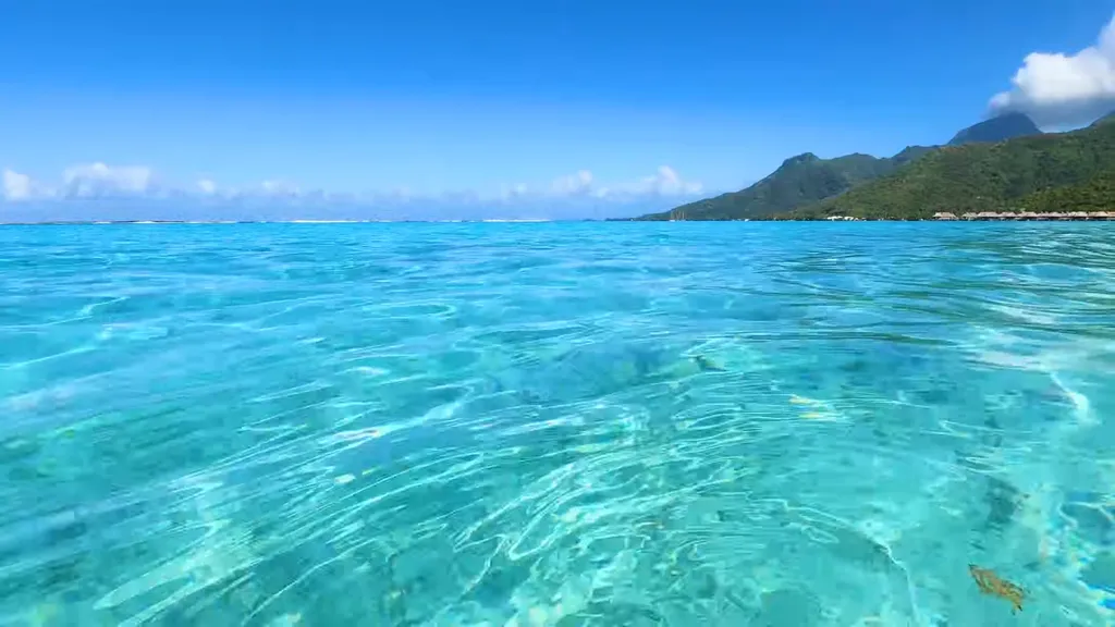 Desktop wallpaper: Oceanwavesbeautiful
