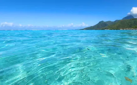 Oceanwavesbeautiful