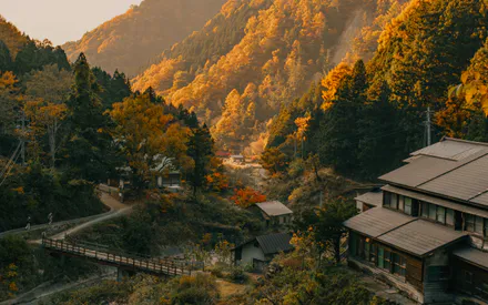 Mountains, Forest, Village, Yellow Leaves, Morning Fog, Wooden Houses, Bridge, Power Lines, Landscape