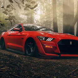 Mustang на заході