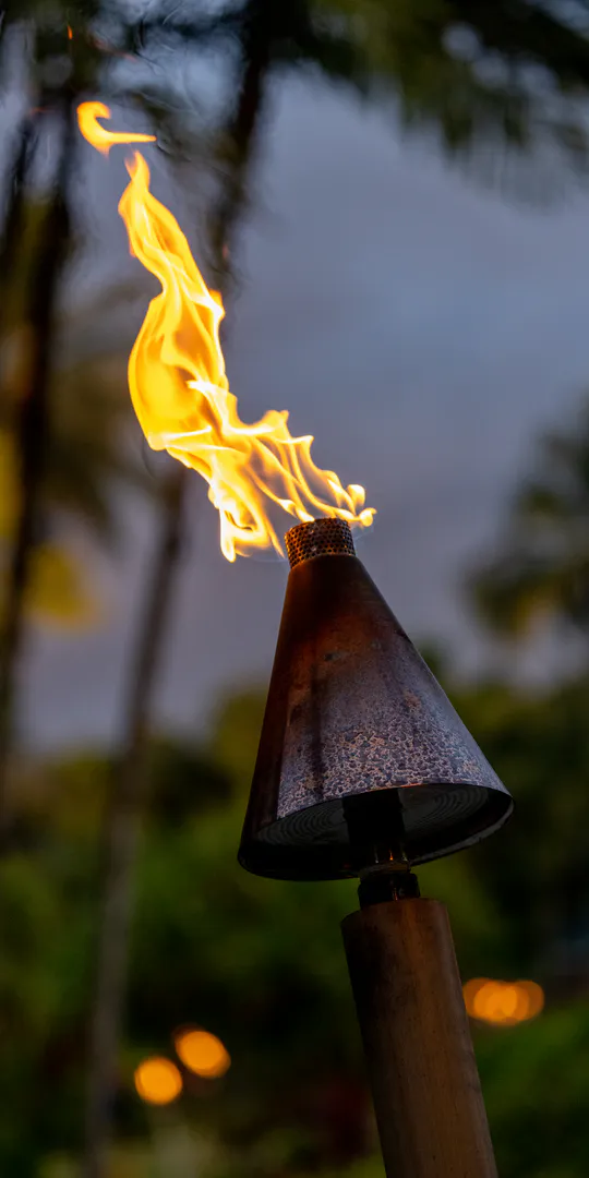 Phone wallpaper: Palm torch