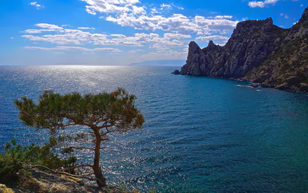Море, Хмари, Небо, Дерево, Скелі