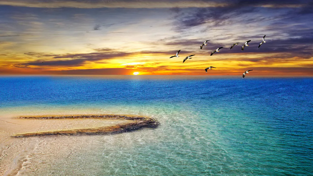 Обои Море 828x1792