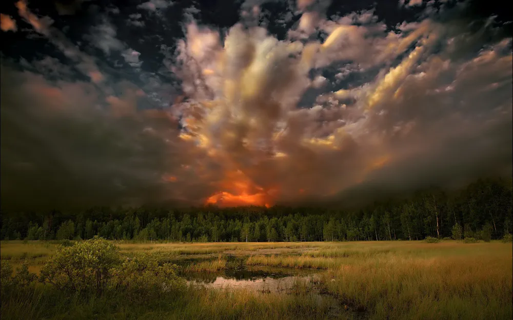 Обои Природа 1280x720