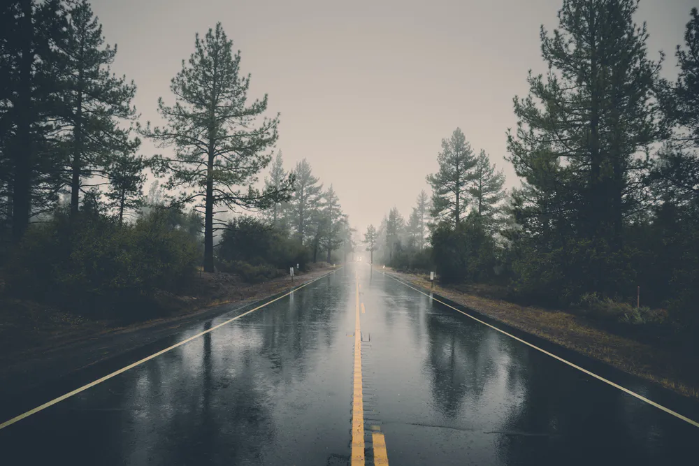 Wallpaper Wet road 1920x1080