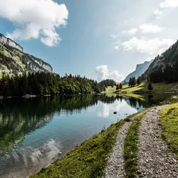 Нічний пейзаж