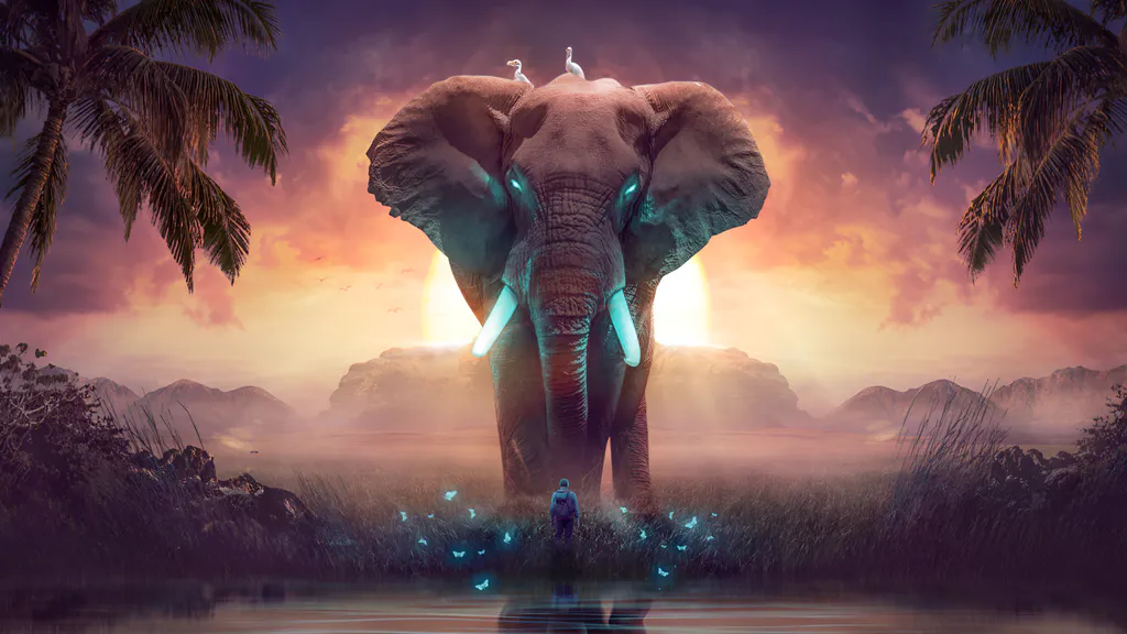 Обои на рабочий стол: Гигантский слон на закате