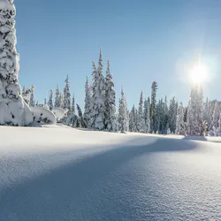 Winter Snow Landscape Mountain Forest